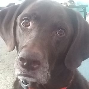 Meet your Posher, Jon